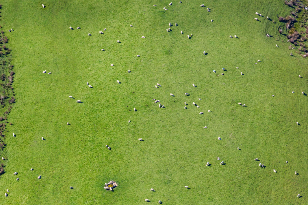 Photography by Gray Malin of Sheep Pasture, Marlborough, New Zealand