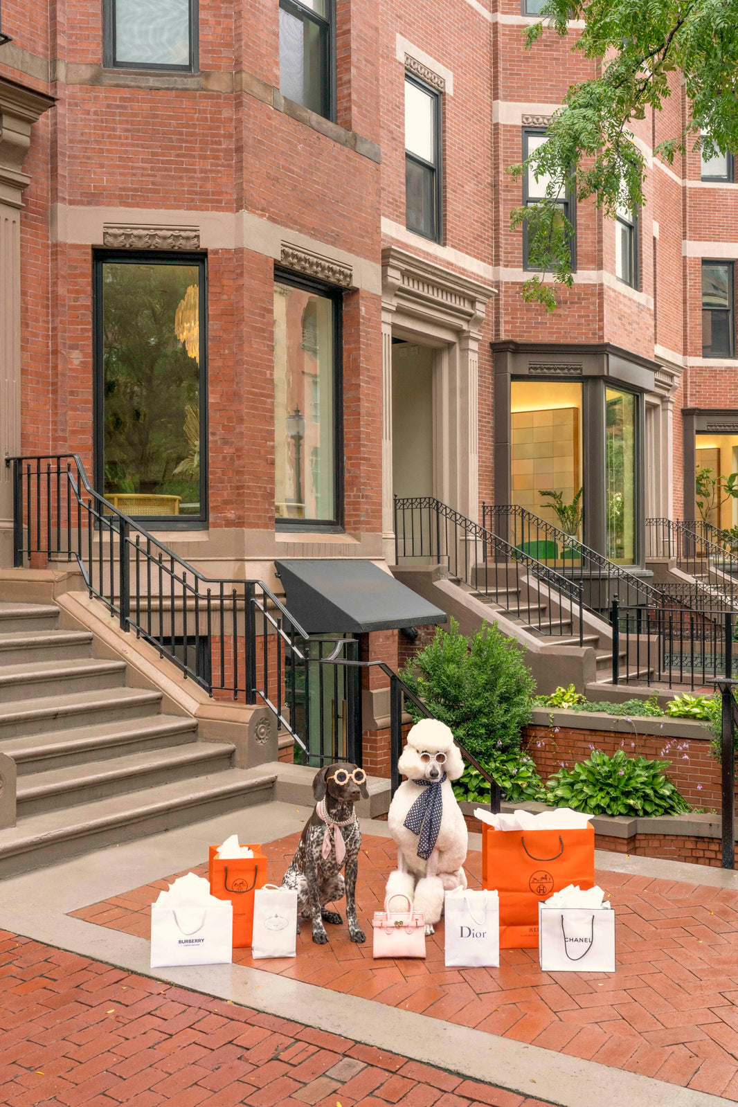 Photography by Gray Malin of Shopping Spree, Newbury Street, Boston