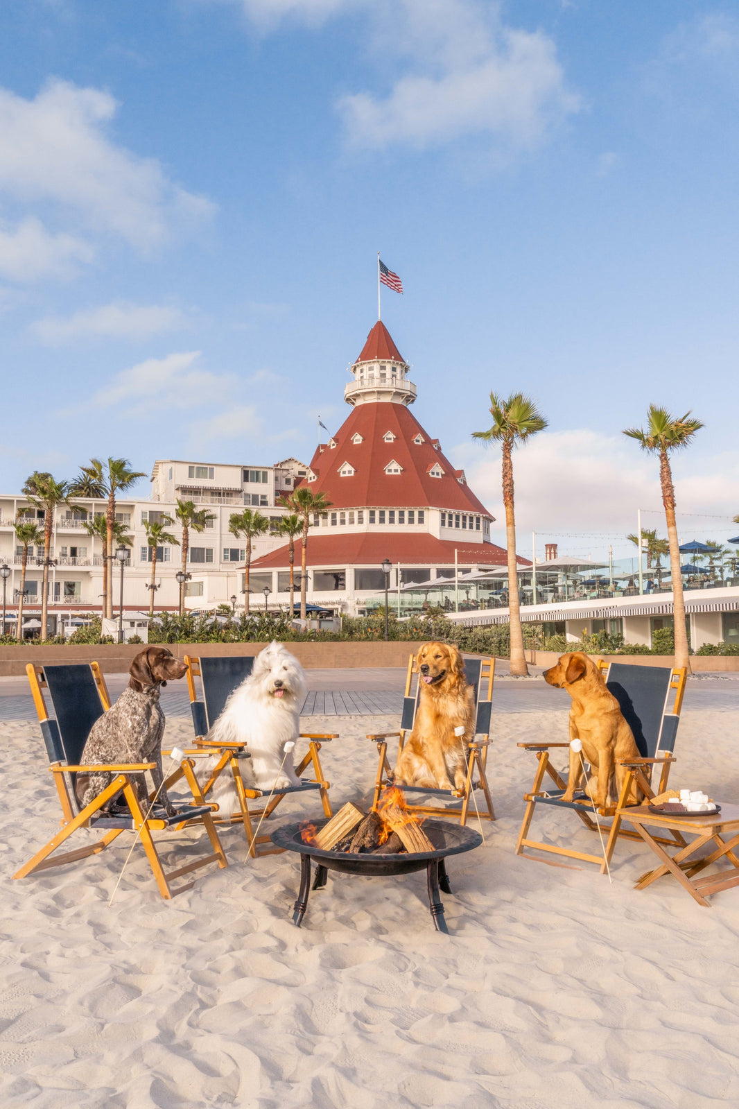 Photography by Gray Malin of S’mores on the Beach, Hotel del Coronado