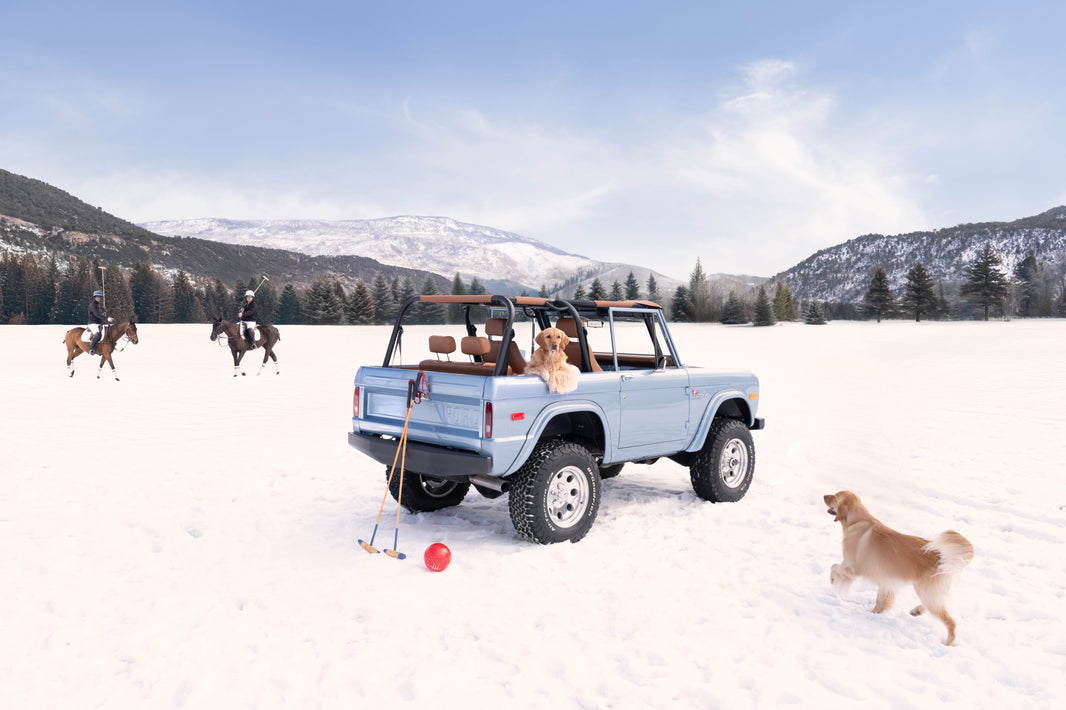 Photography by Gray Malin of Snow Polo Pups, Aspen