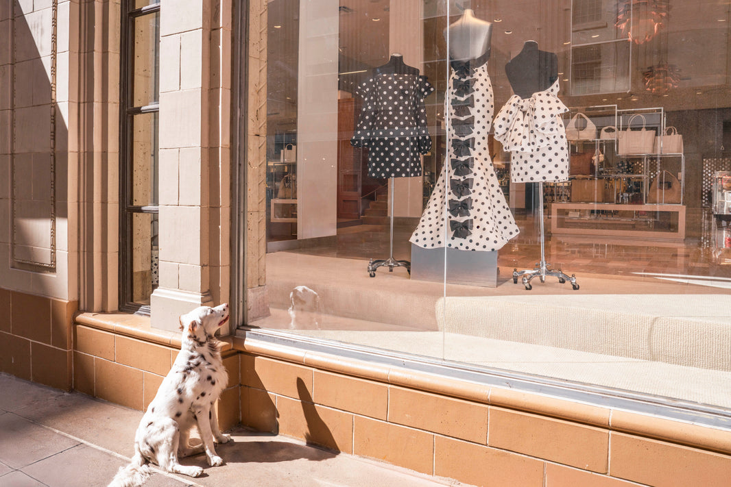 Photography by Gray Malin of Spotted at Neiman Marcus, Downtown Dallas