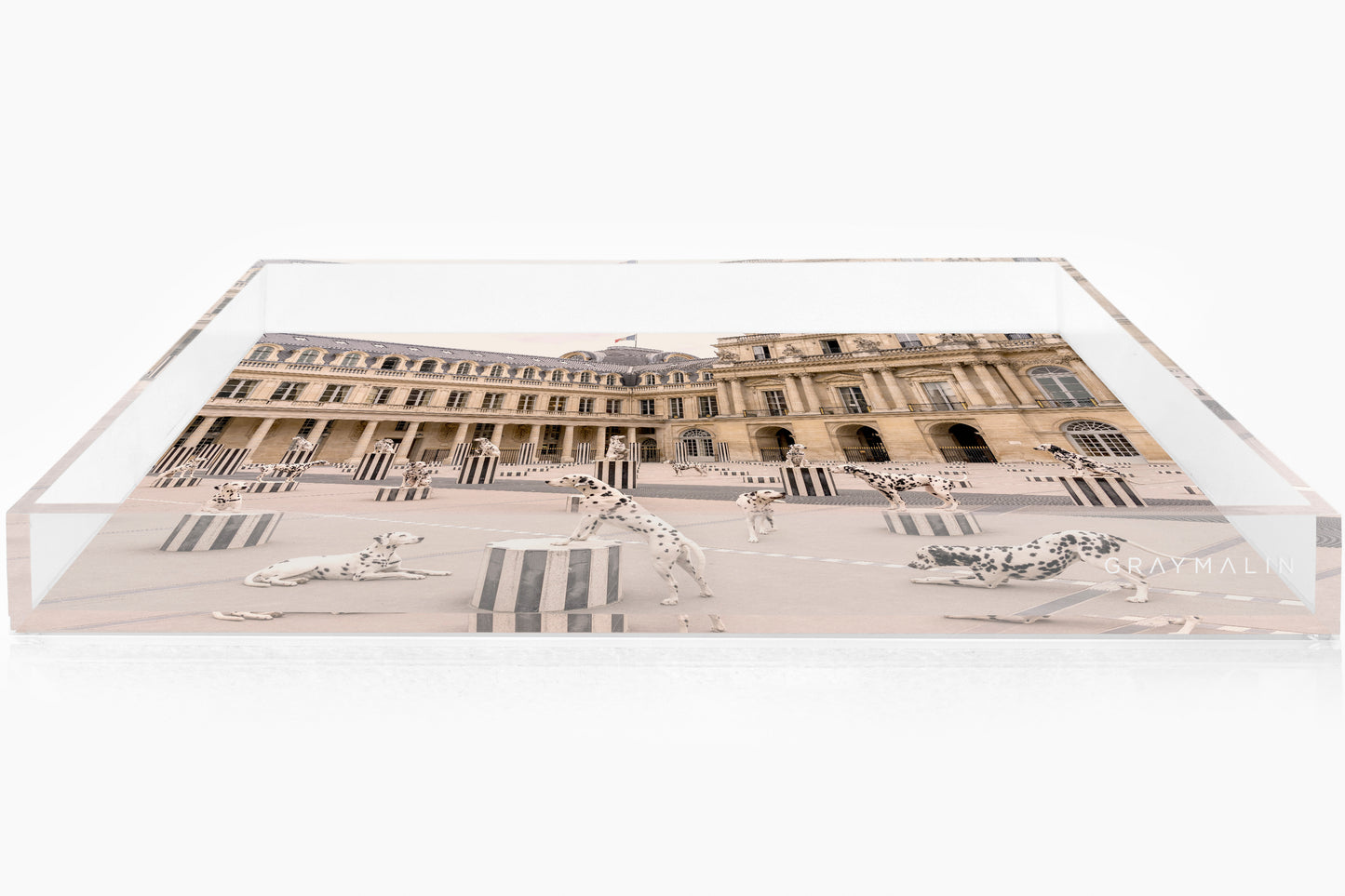 The Parisian Dogs Tray