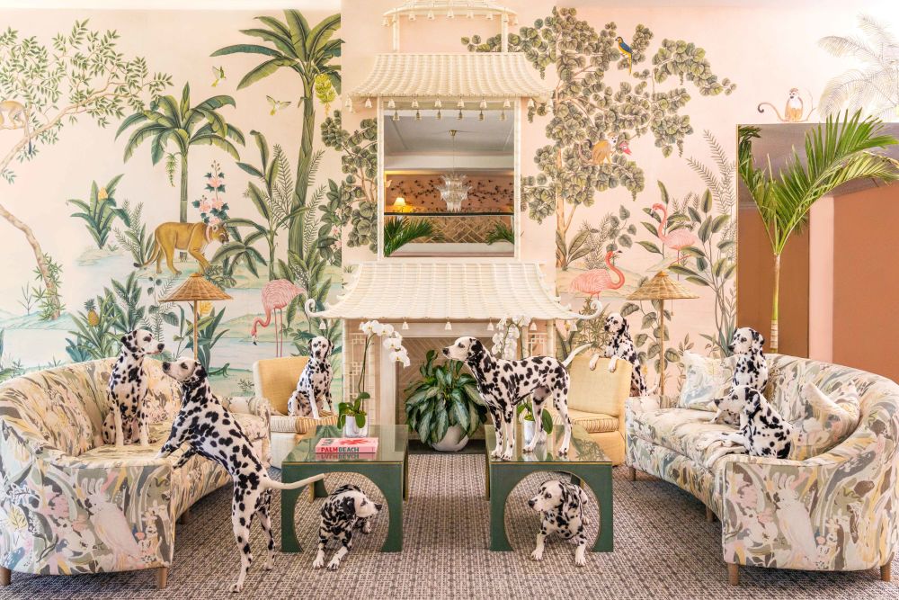 Photography by Gray Malin of Spotted at The Colony Hotel