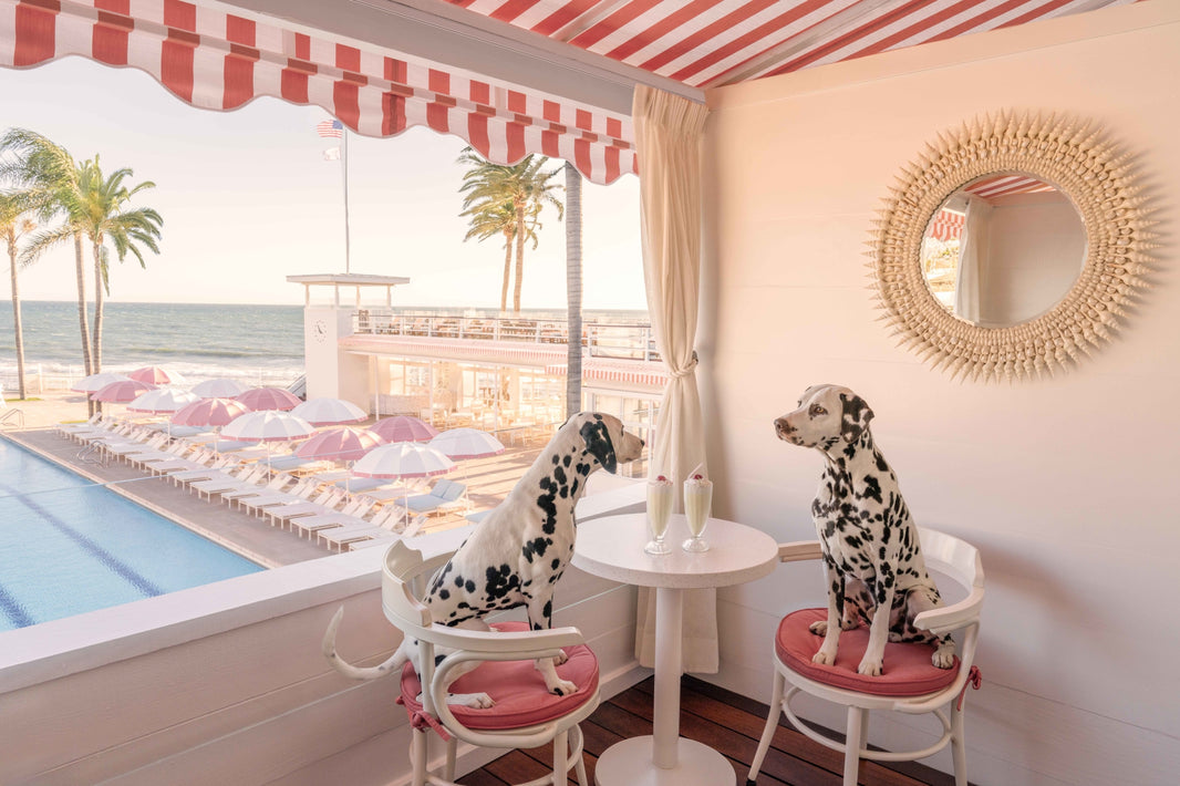 Photography by Gray Malin of Spotted in the Cabana, Coral Casino