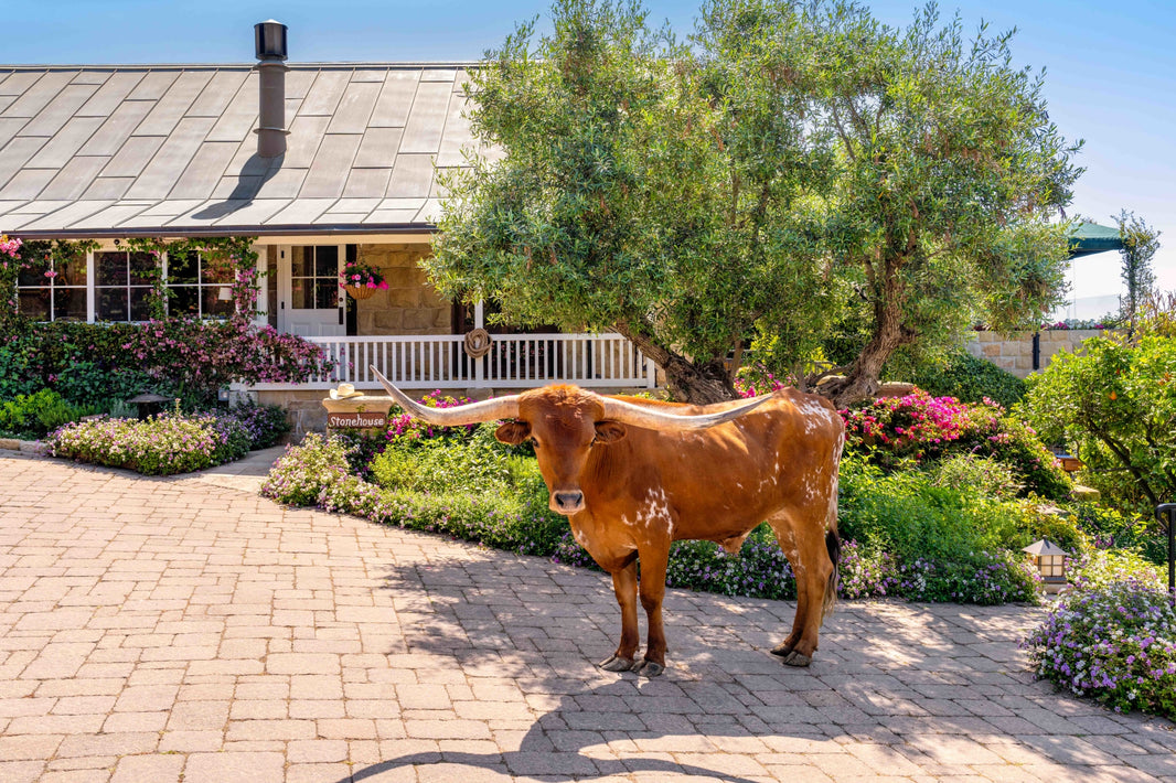 Photography by Gray Malin of Stonehouse Restaurant, San Ysidro Ranch