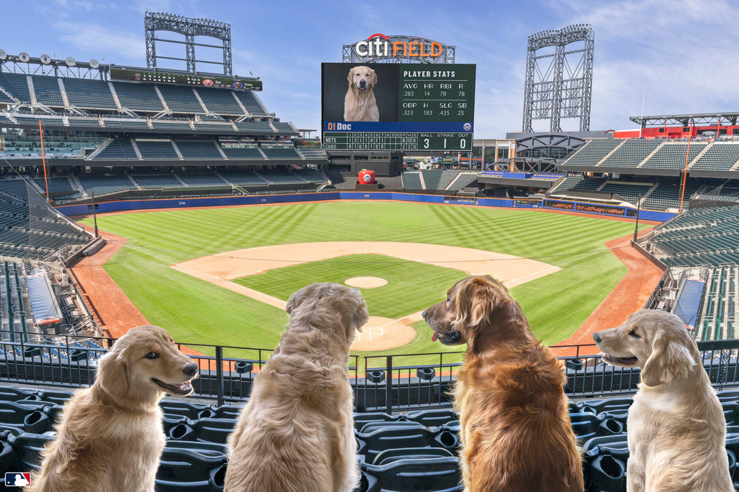 Photography by Gray Malin of Take Me Out to the Ball Game