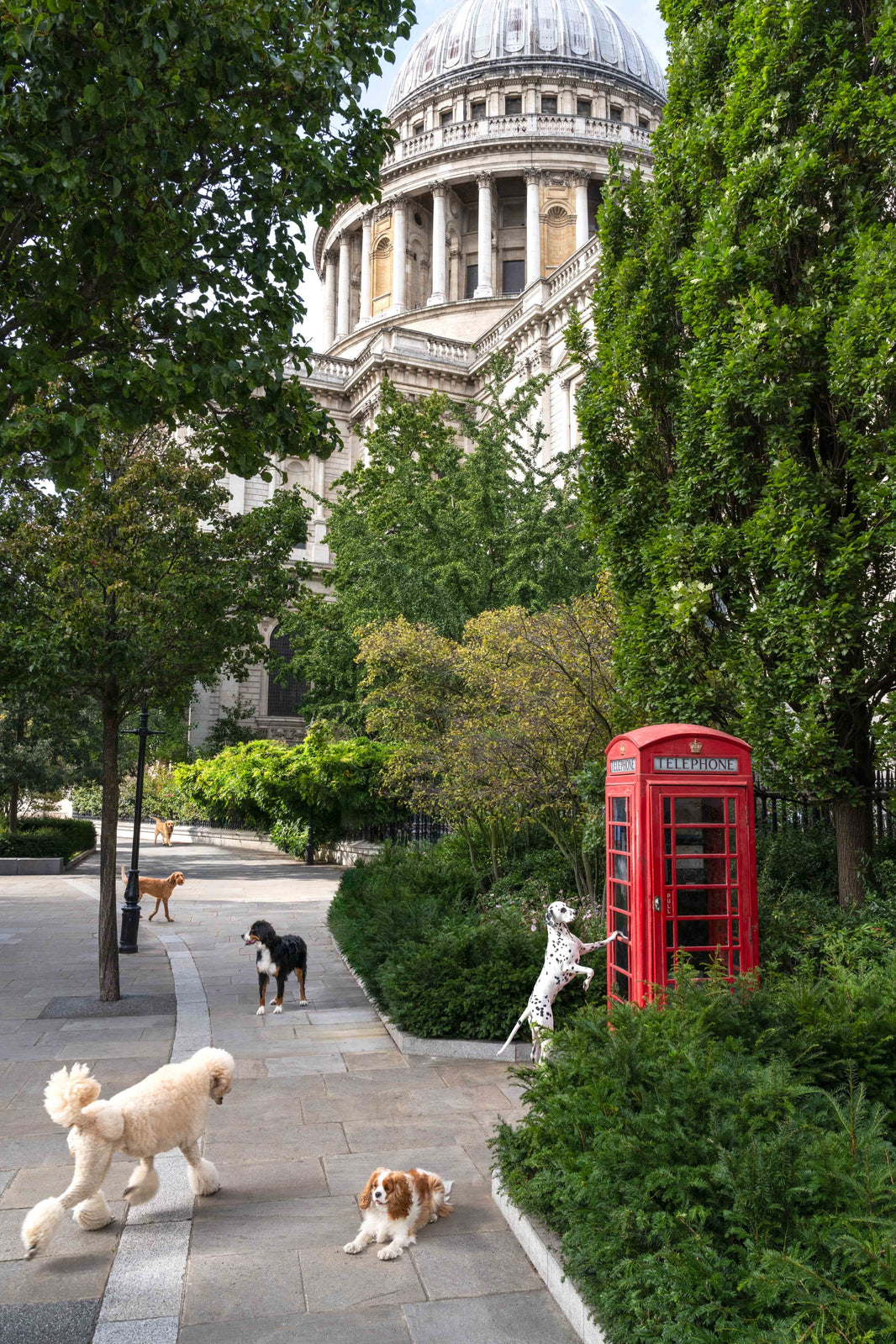 Photography by Gray Malin of Telephone Box, St. Paul’s Cathedral, London