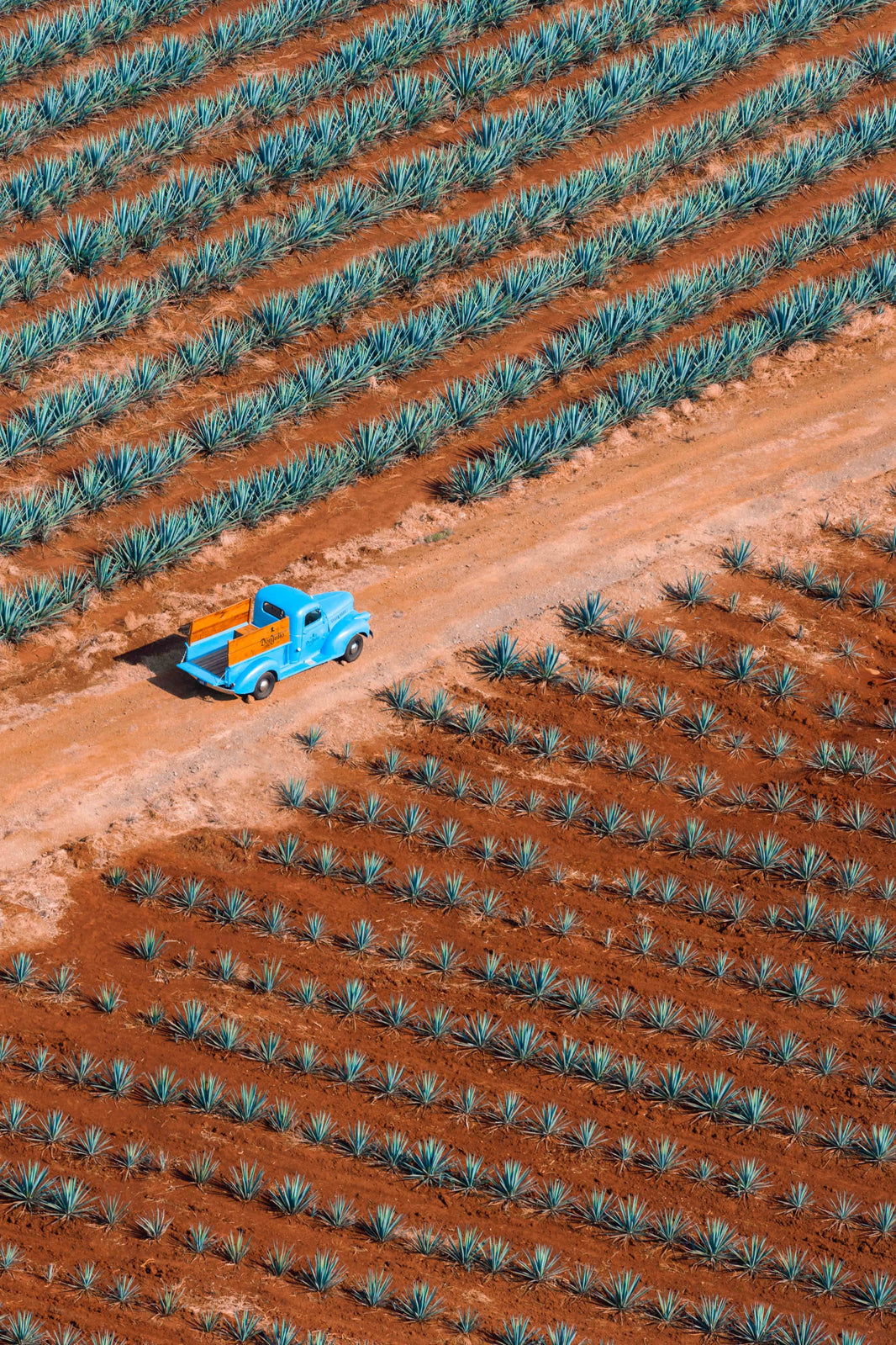 Photography by Gray Malin of Tequila Truck II, Tequila Don Julio, Mexico