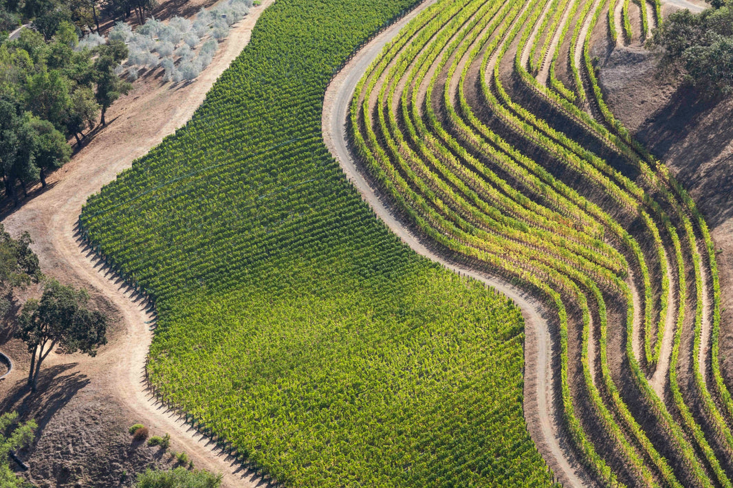 Photography by Gray Malin of Terraced Vineyards, Napa Valley
