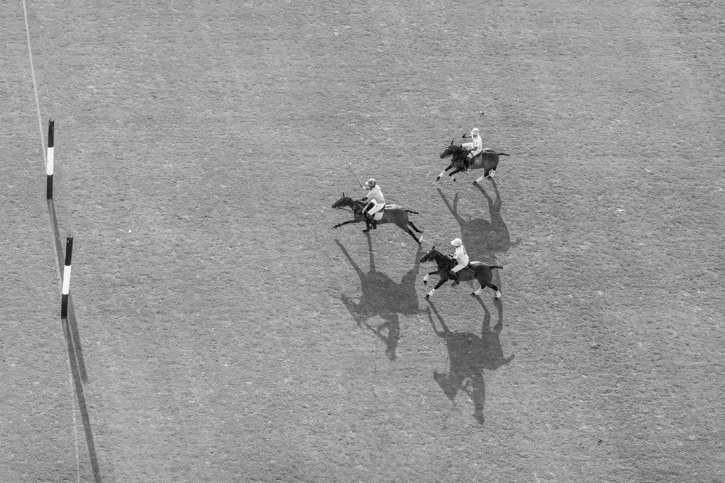 The Advance (Black and White), Polo Club