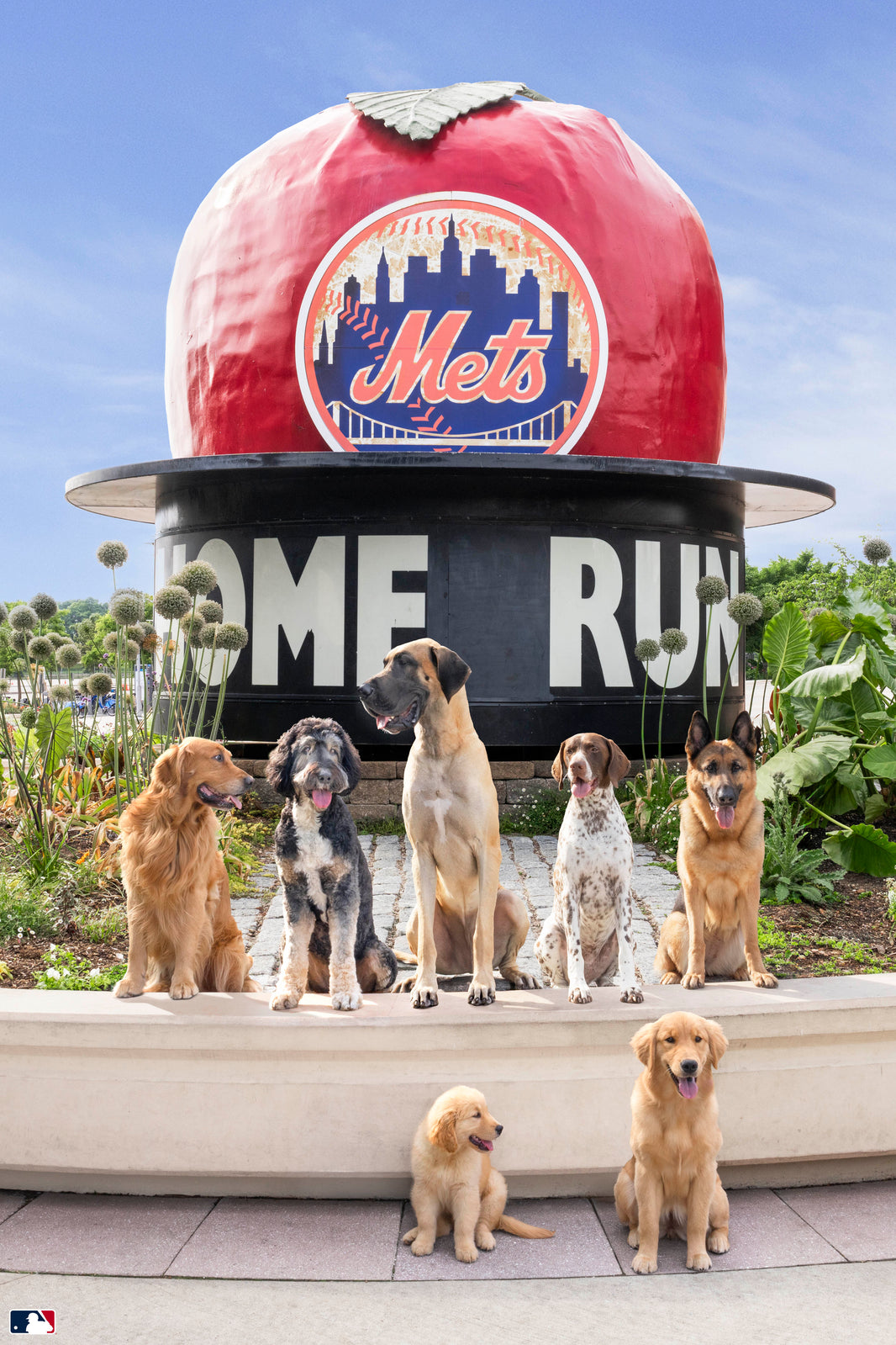 Photography by Gray Malin of The Home Run Apple Pups Vertical