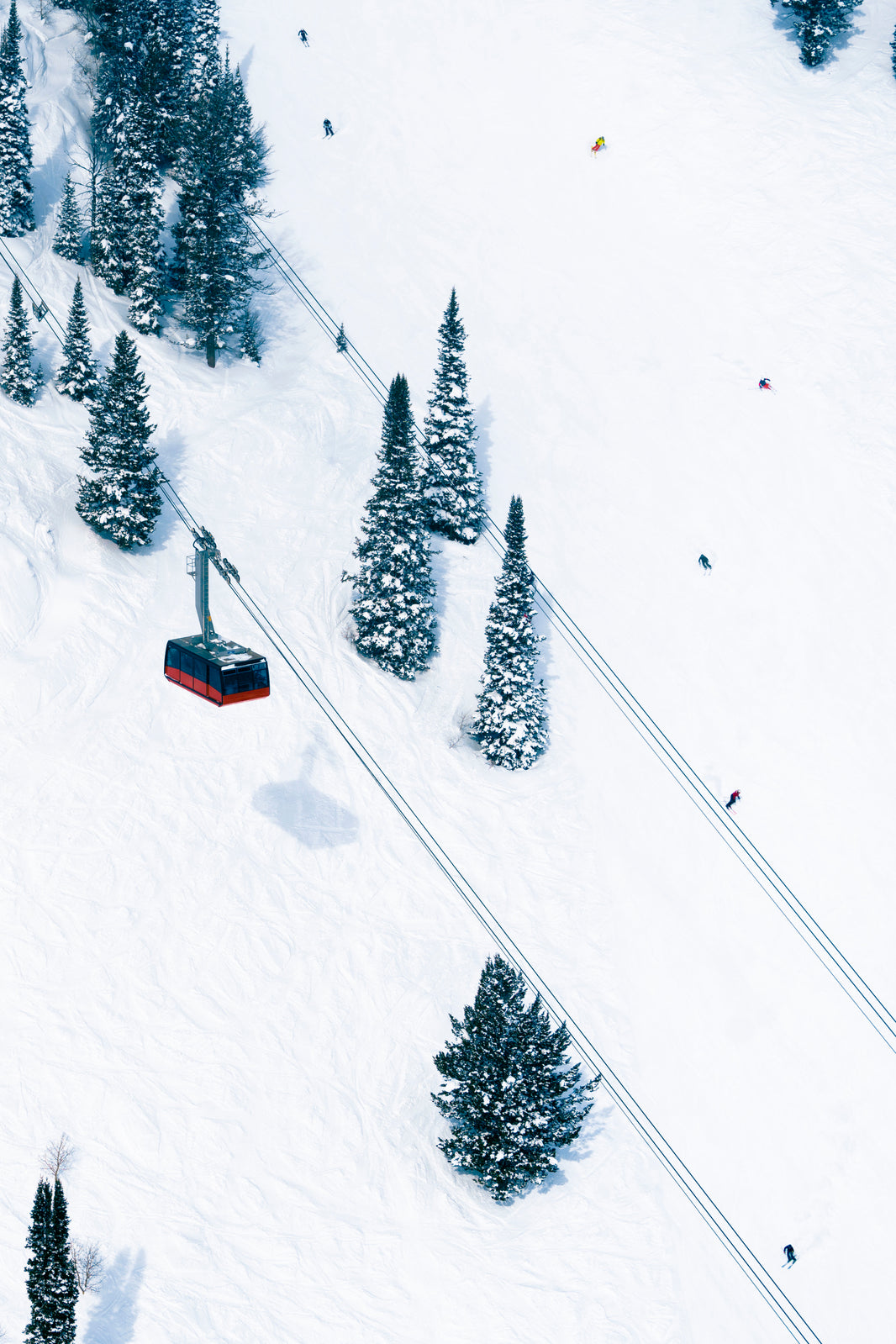 Photography by Gray Malin of The Aerial Tram Vertical, Jackson Hole