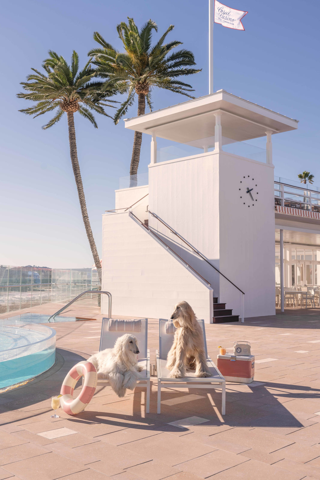 Photography by Gray Malin of The Afghans, Coral Casino