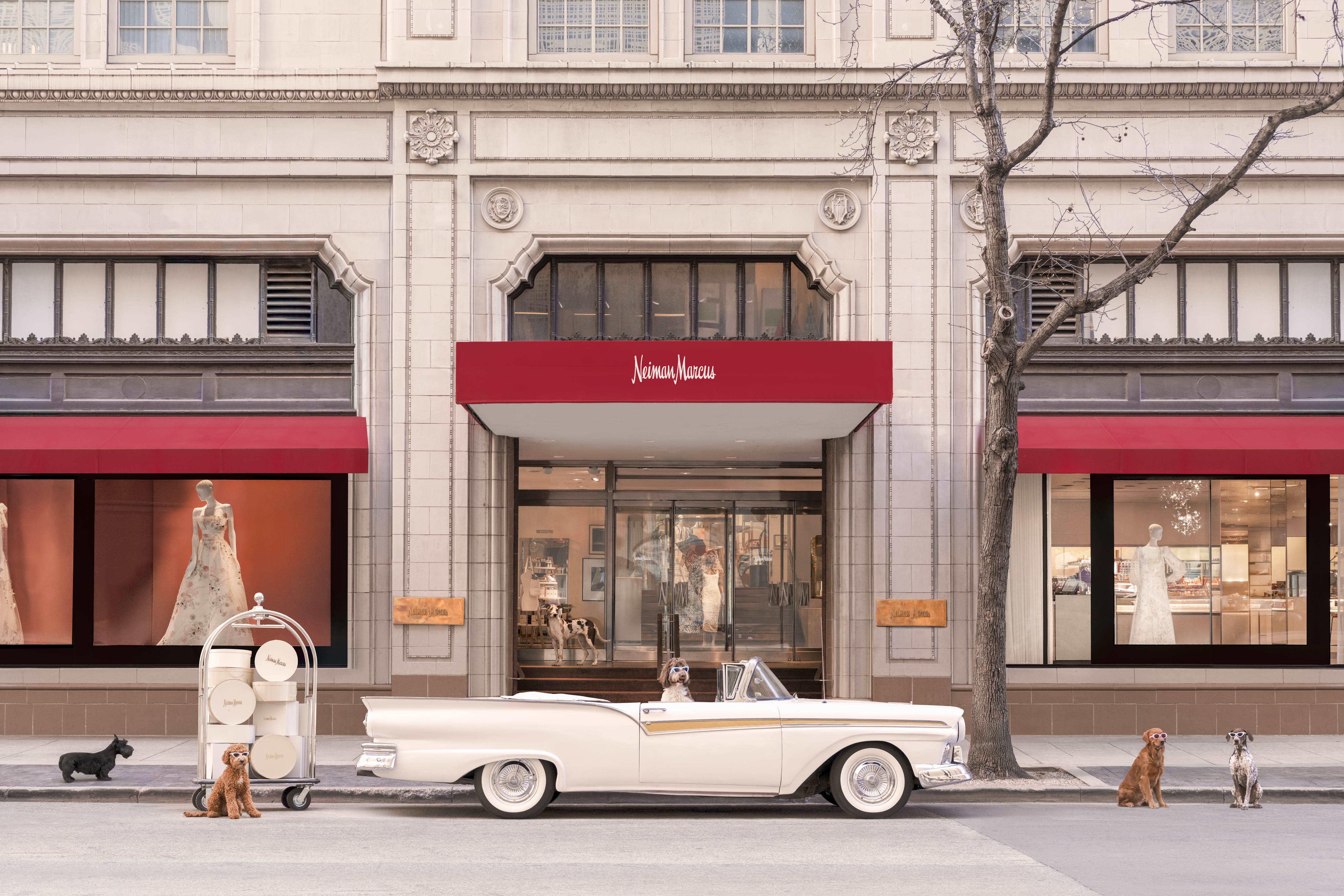 The Arrival, Neiman Marcus, Downtown Dallas – Gray Malin display picture 1