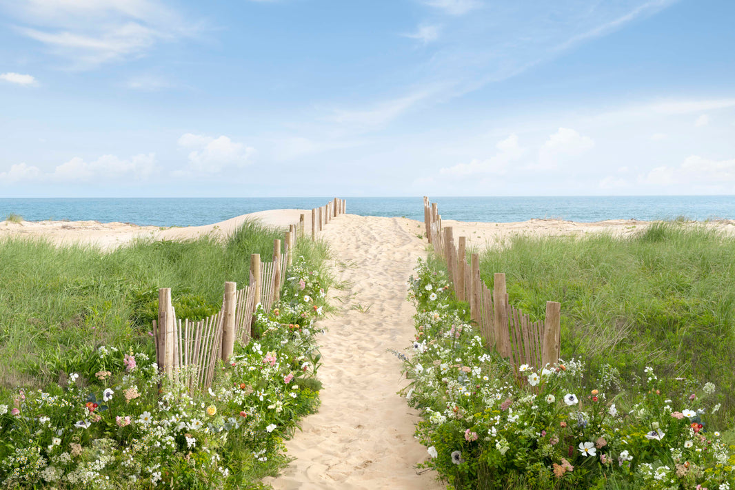 Photography by Gray Malin of The Beach Path, South Beach, Martha’s Vineyard
