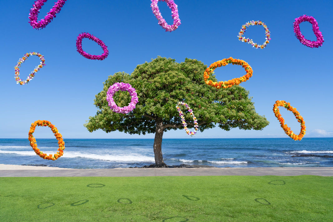 Photography by Gray Malin of The Beach Tree, Four Seasons Hualalai, Hawai’i
