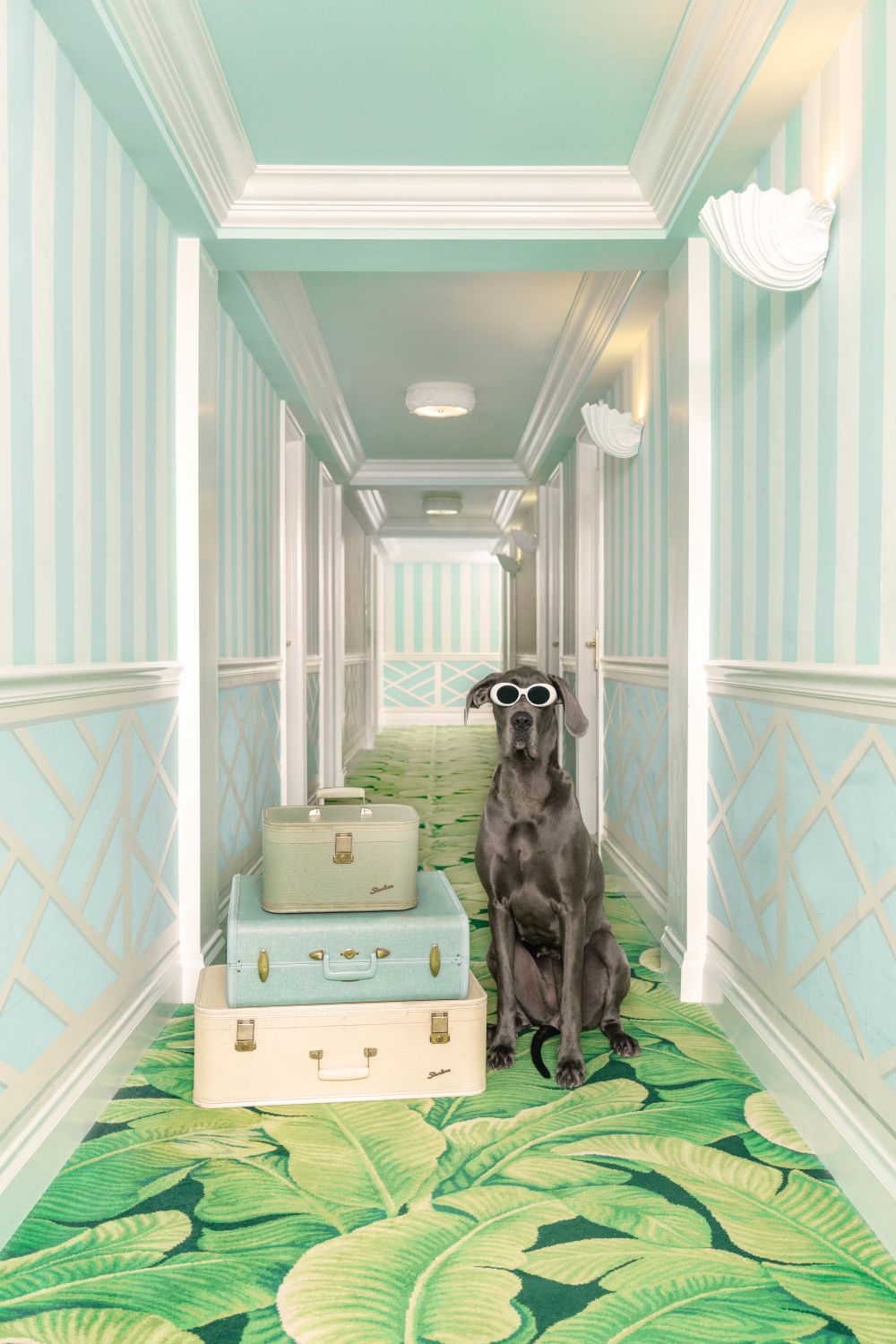 Photography by Gray Malin of The Blue Hallway, The Colony Hotel