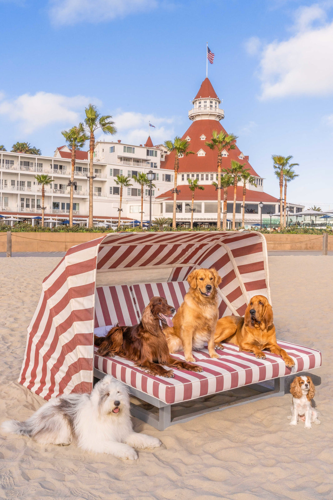 Photography by Gray Malin of The Cabana, Hotel Del Coronado