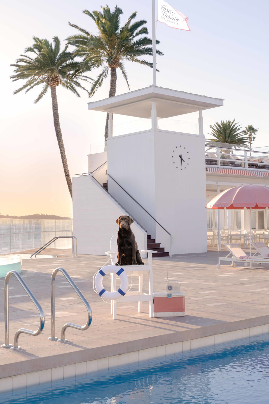 Photography by Gray Malin of The Chocolate Lab, Coral Casino