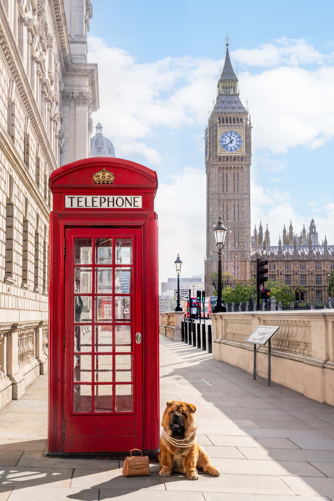 Photography by Gray Malin of The Chow, London