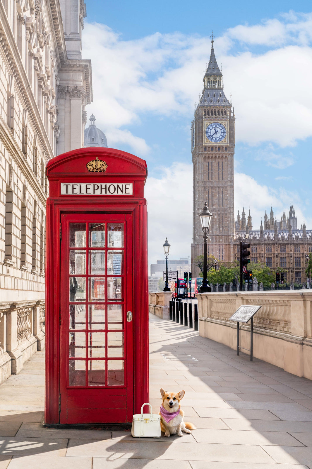 Photography by Gray Malin of The Corgi, London