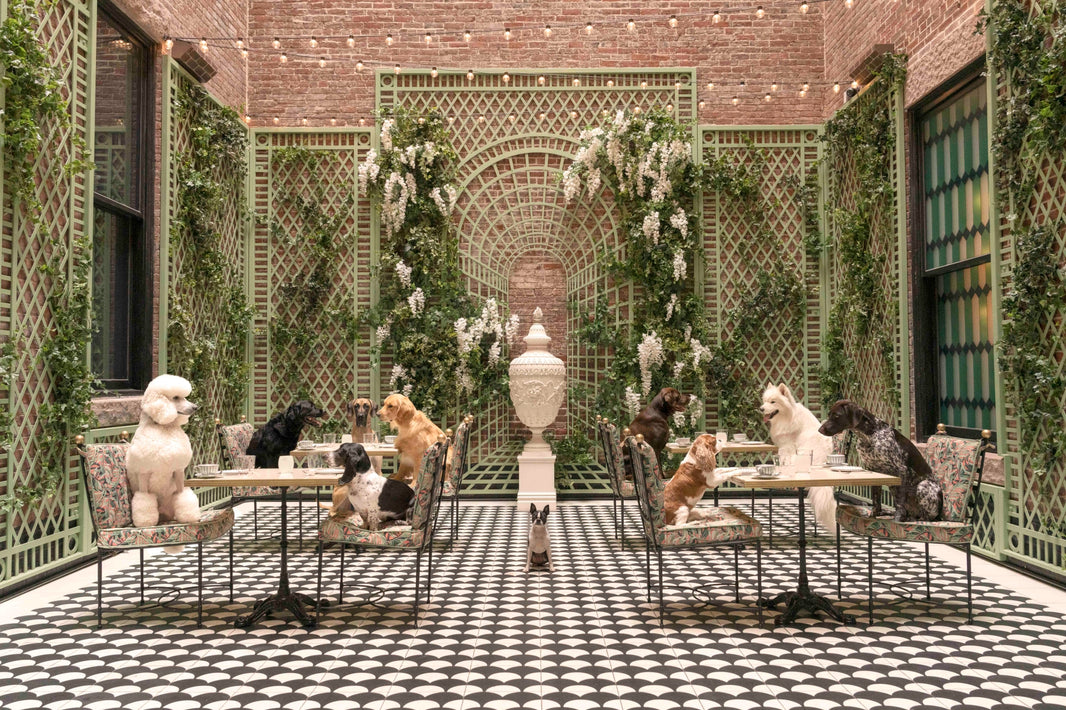 Photography by Gray Malin of The Terrace, 'Quin House, Boston