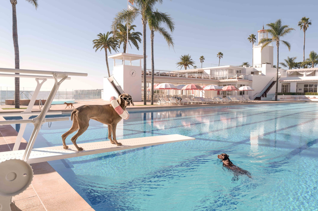 Photography by Gray Malin of The Divers, Coral Casino