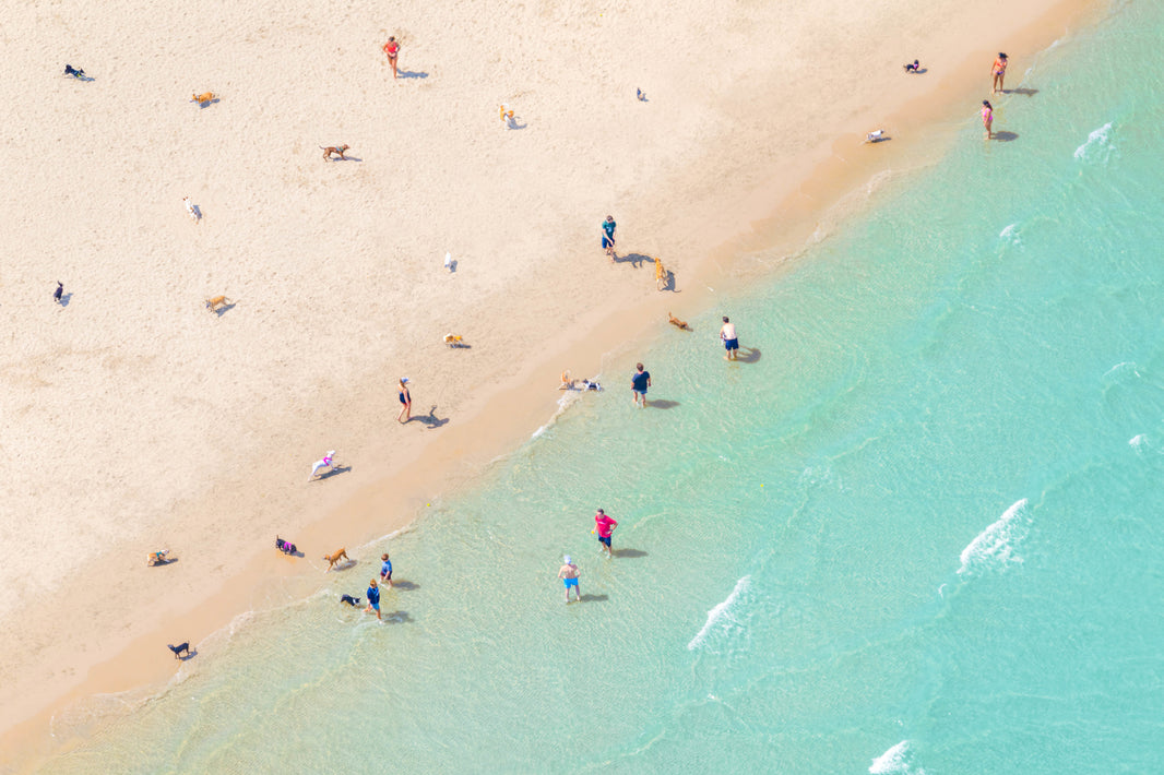 Photography by Gray Malin of The Dog Beach, Chicago