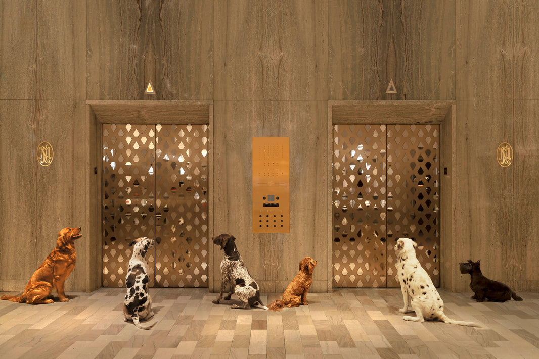 Photography by Gray Malin of The Elevators, Neiman Marcus, Downtown Dallas