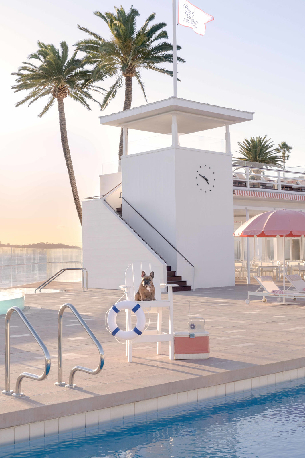 Photography by Gray Malin of The French Bulldog, Coral Casino