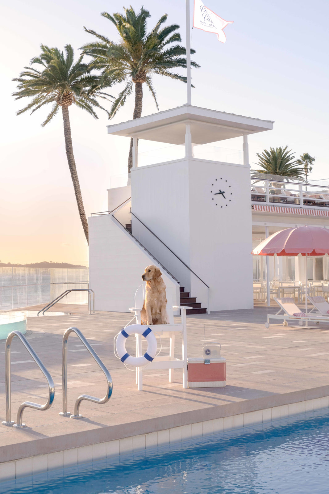 Photography by Gray Malin of The Golden Retriever, Coral Casino