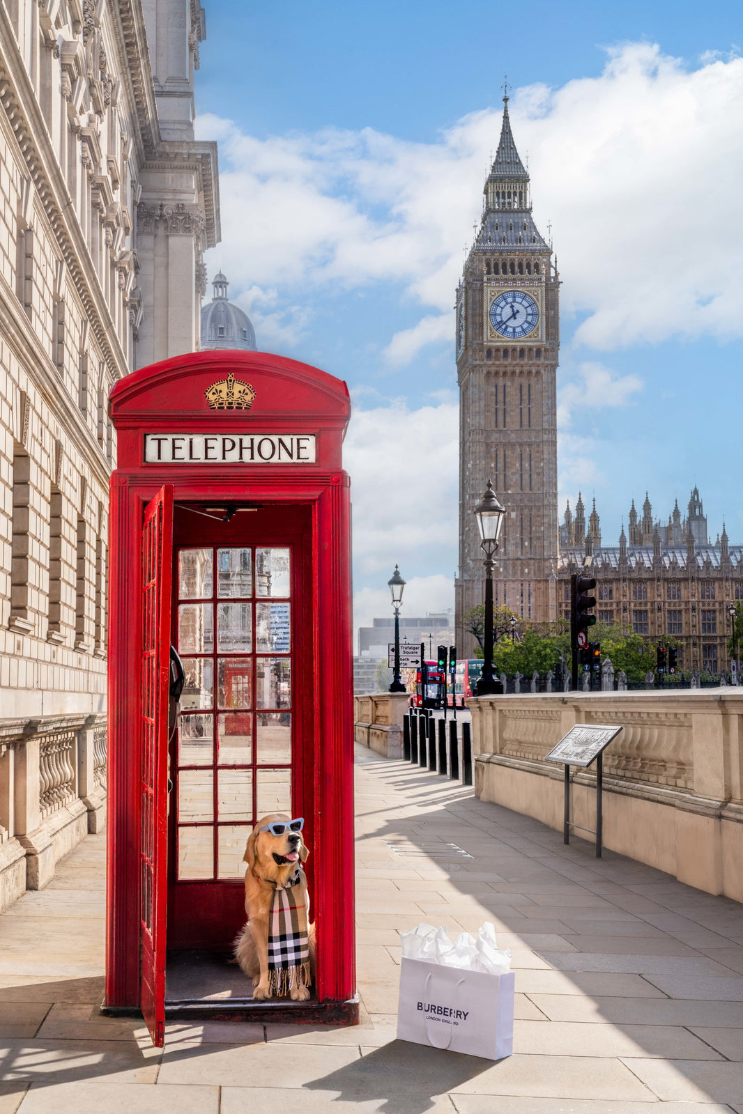 Photography by Gray Malin of The Golden Retriever, London