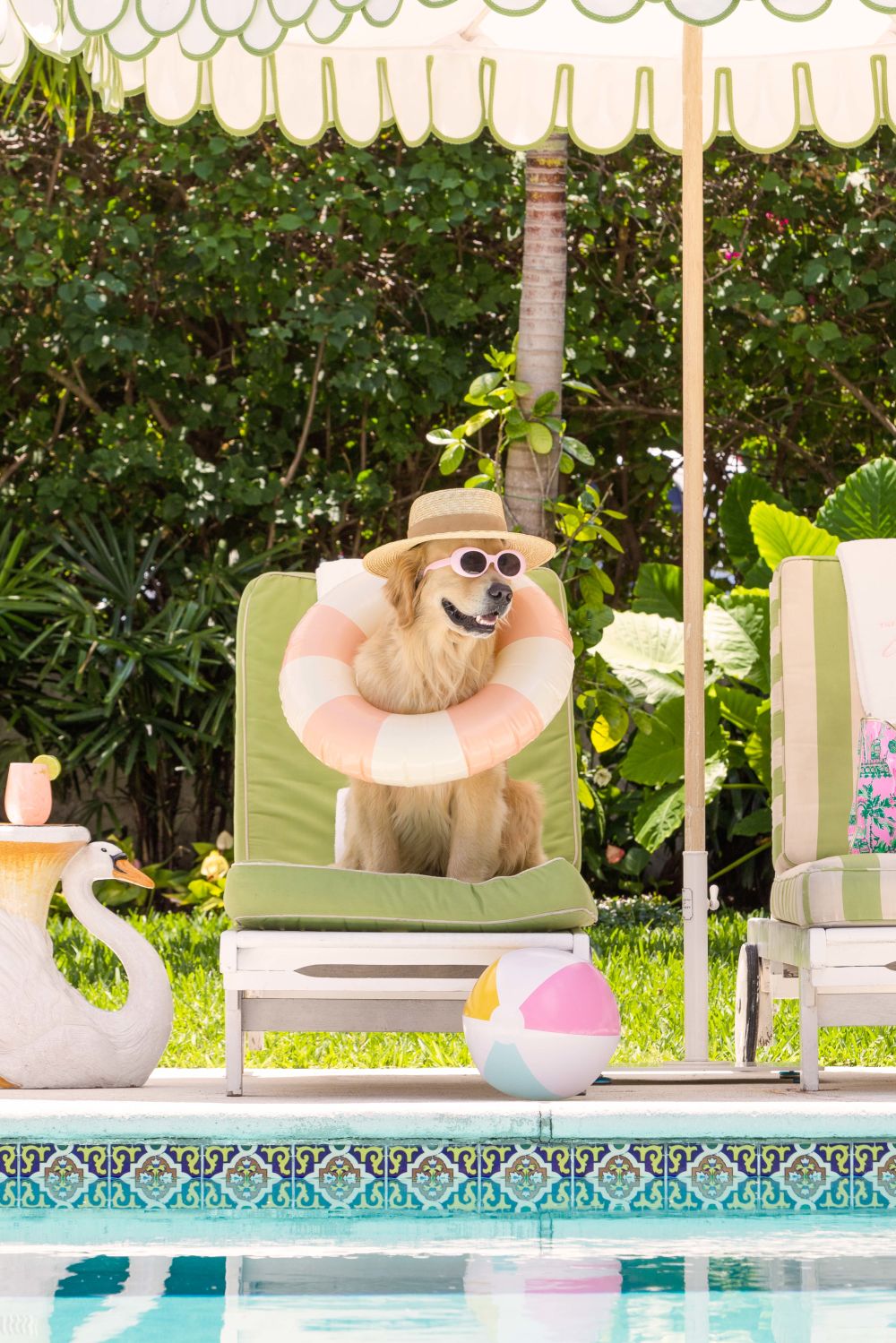 Photography by Gray Malin of The Golden Retriever, The Colony Hotel