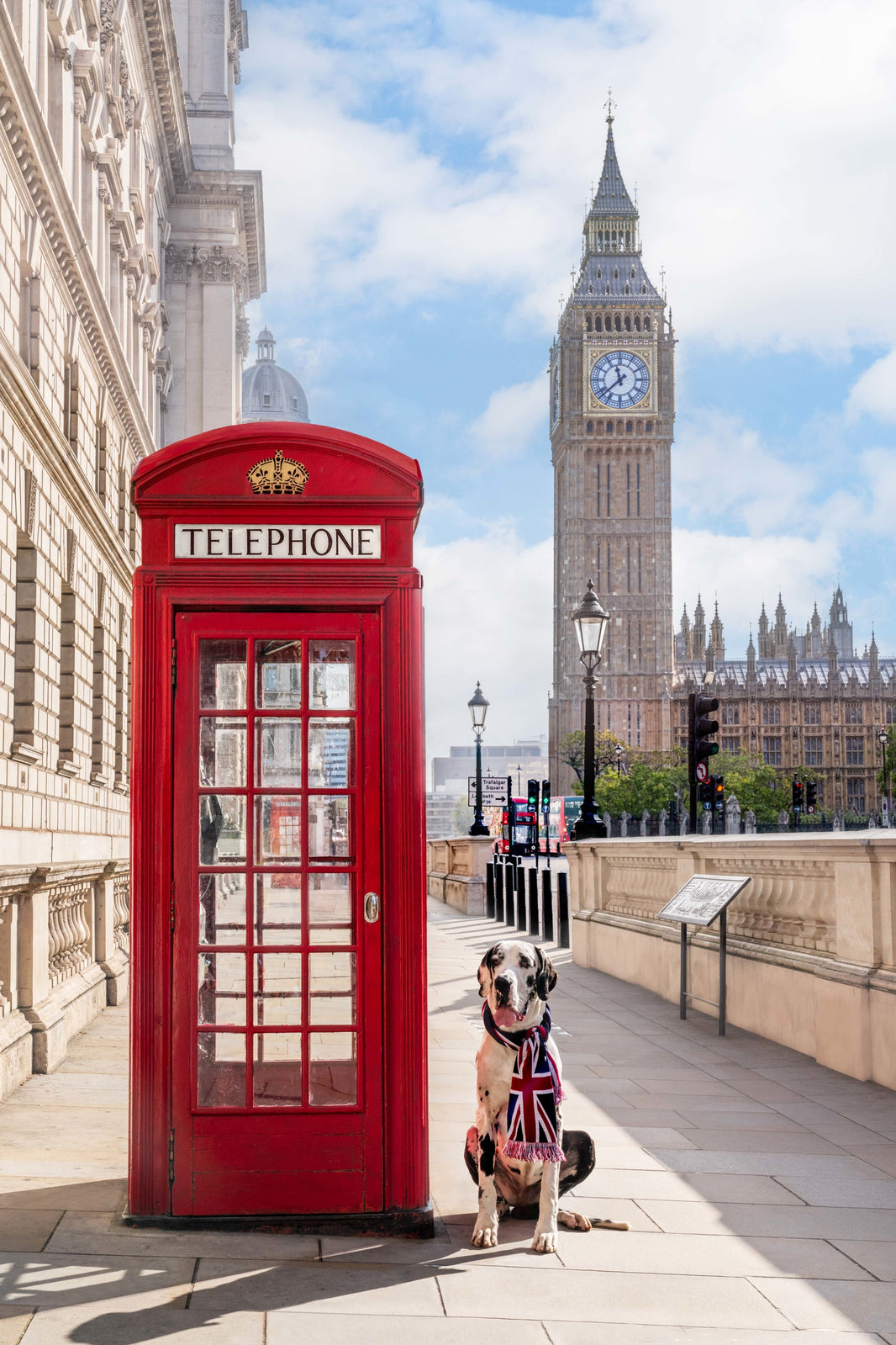 Photography by Gray Malin of The Great Dane, London