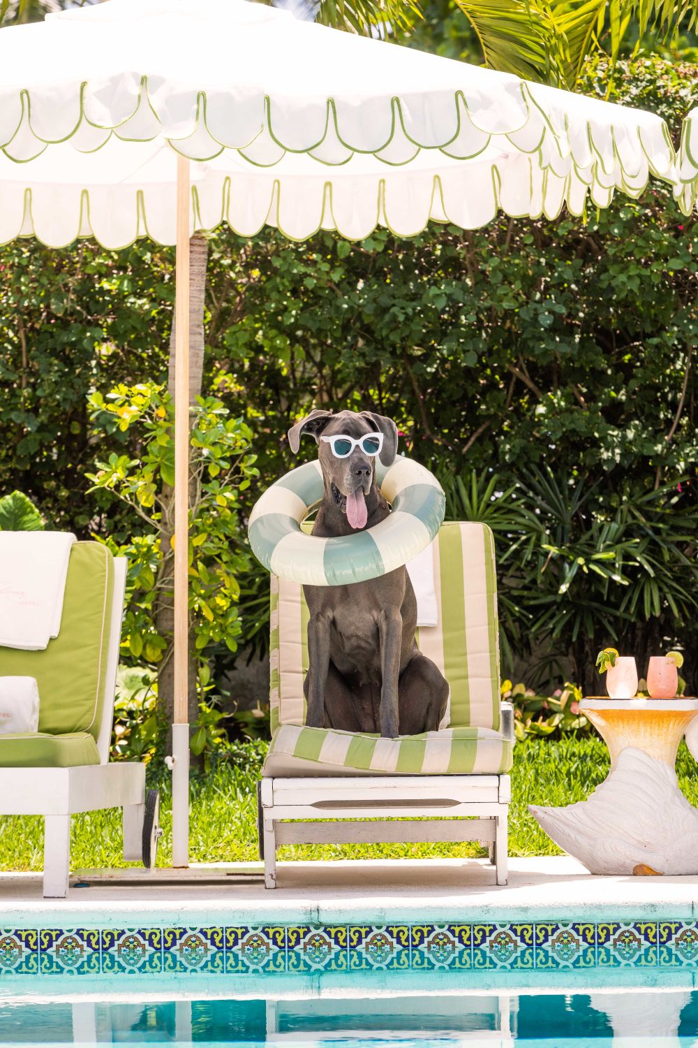 Photography by Gray Malin of The Great Dane, The Colony Hotel