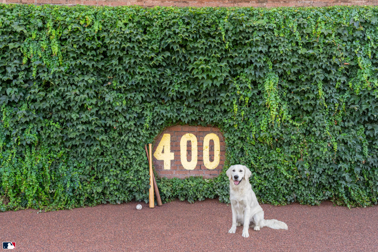 The Heart of Wrigley, Wrigley Field, Chicago