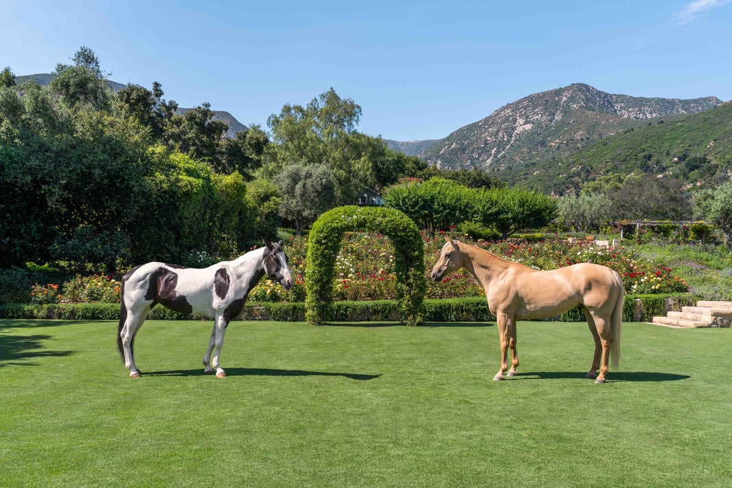 Photography by Gray Malin of The Horses, San Ysidro Ranch