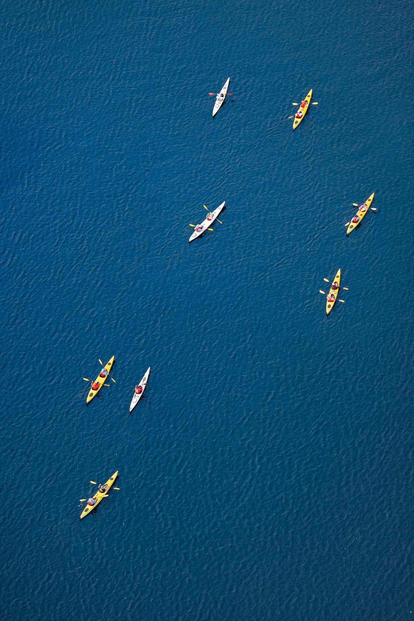 The Kayakers, Lake Union, Seattle