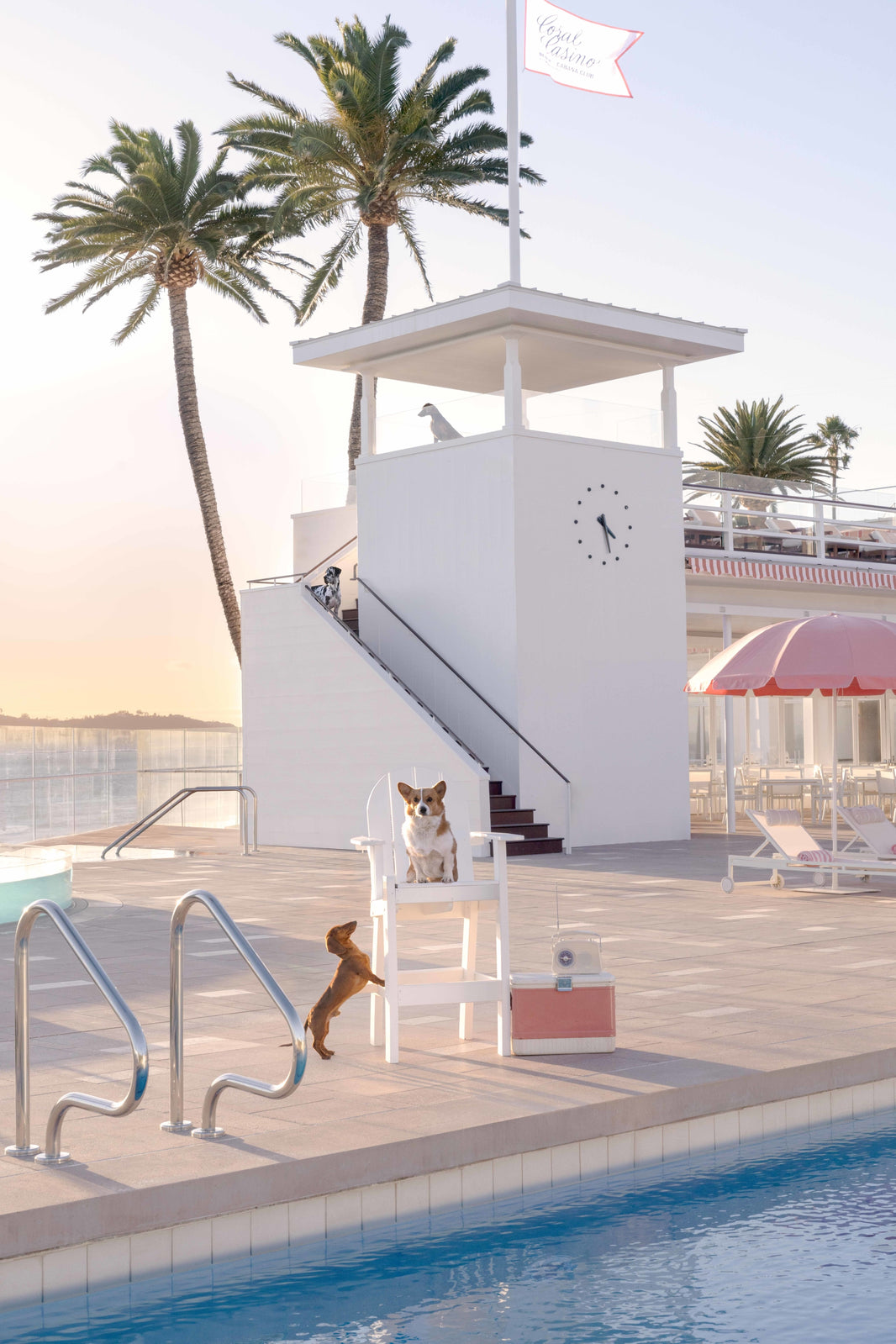 Photography by Gray Malin of The Lifeguard, Coral Casino