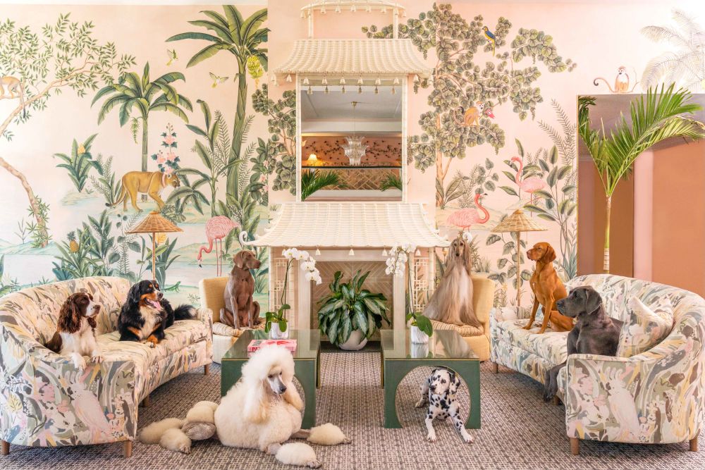 Photography by Gray Malin of The Lobby, The Colony Hotel