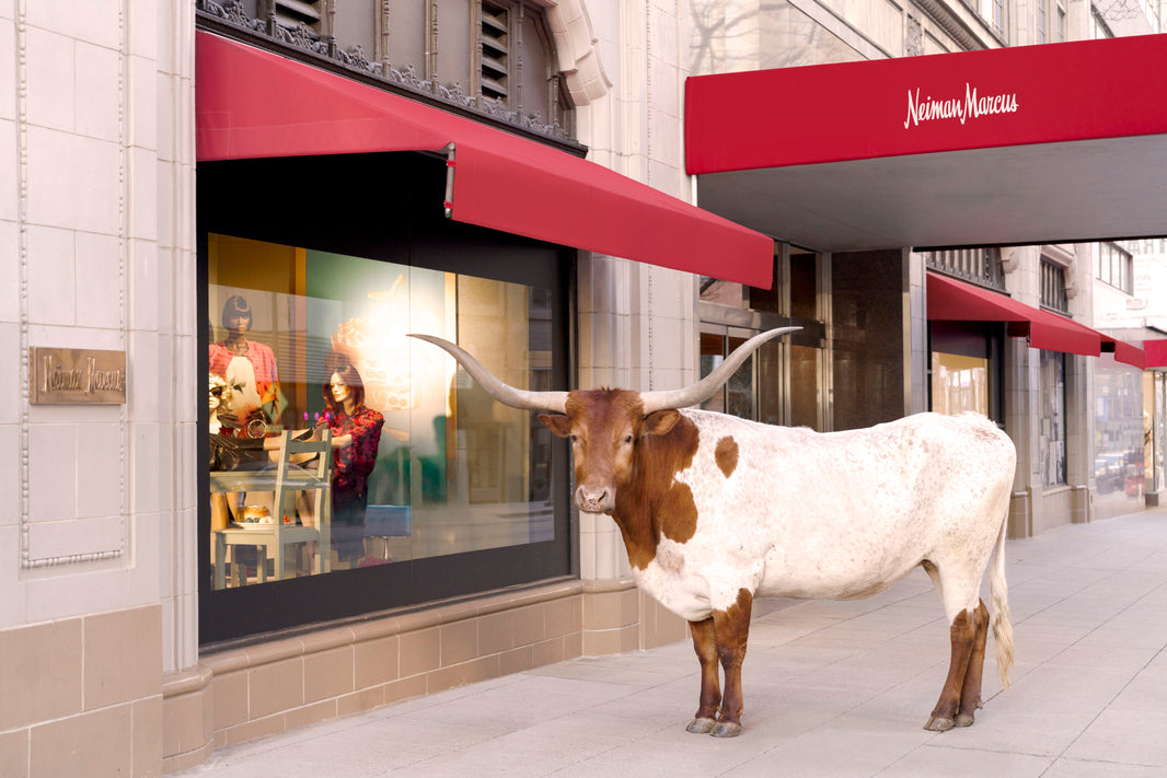 Photography by Gray Malin of The Longhorn, Neiman Marcus, Downtown Dallas
