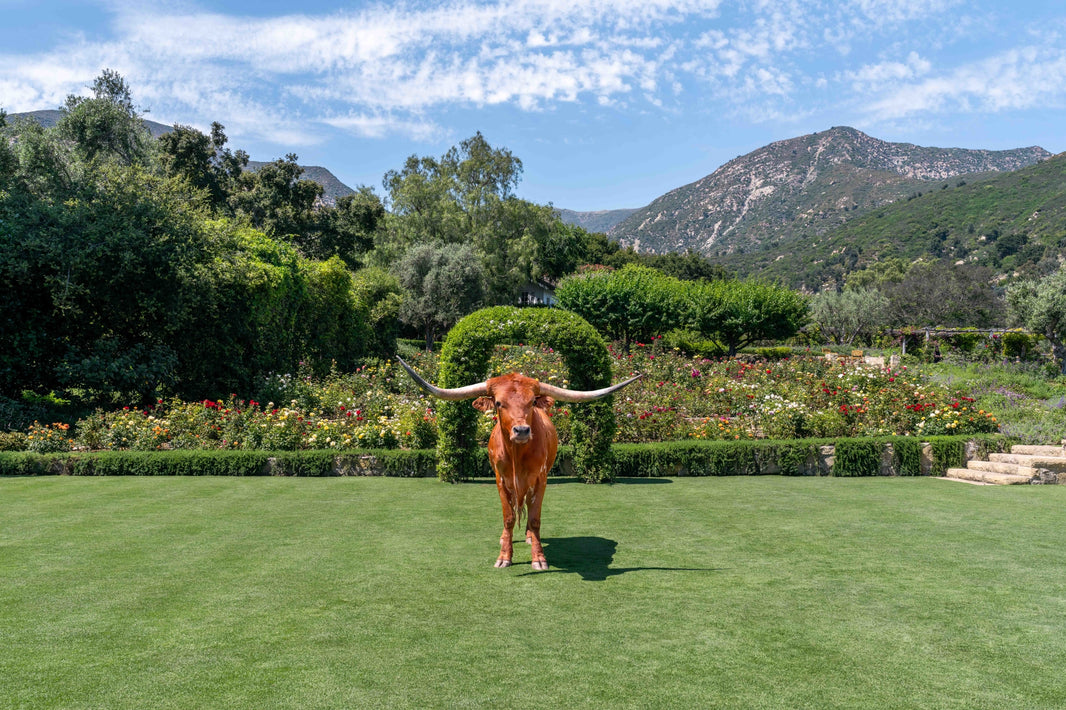 Photography by Gray Malin of The Longhorn, San Ysidro Ranch