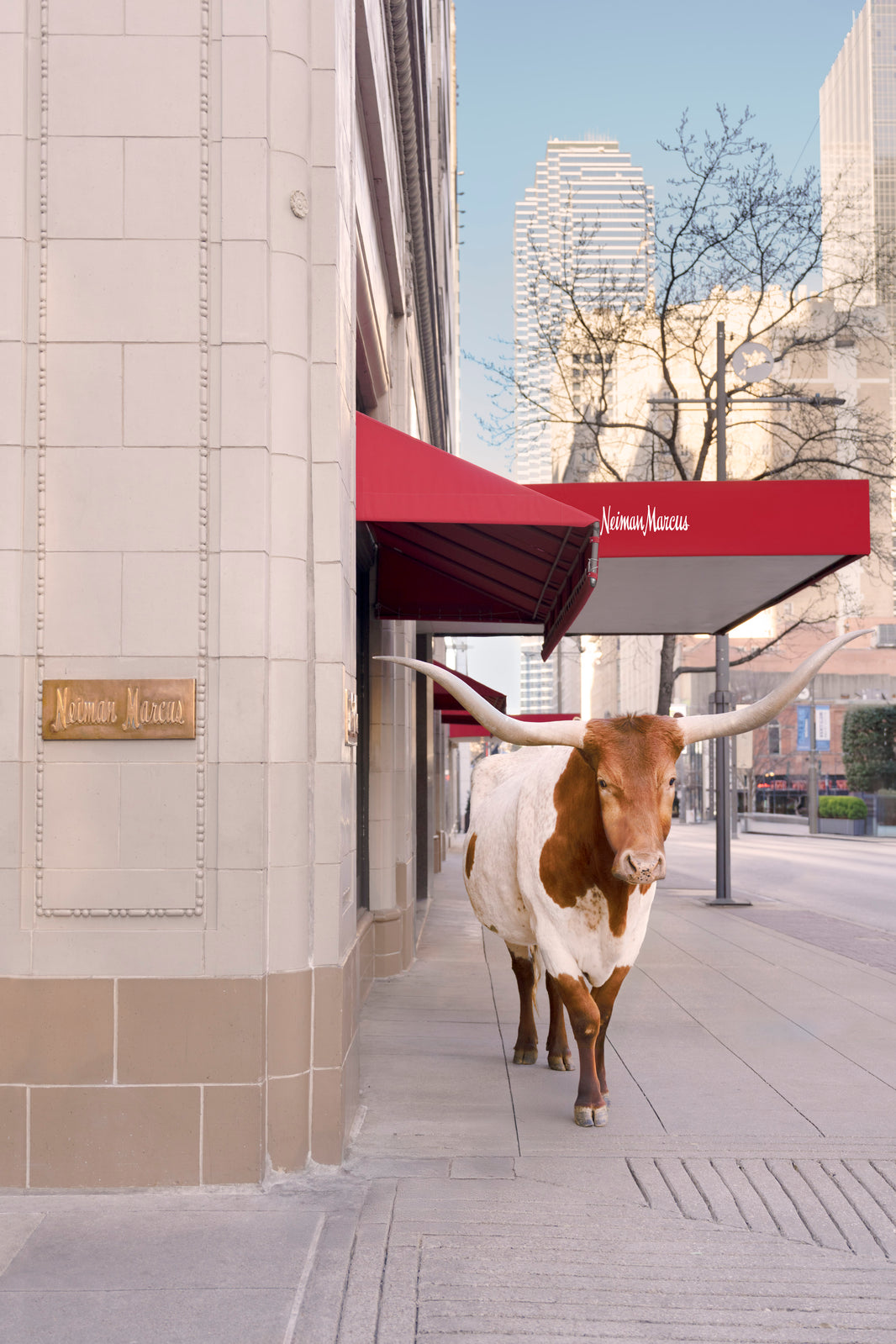 Photography by Gray Malin of The Longhorn Vertical, Neiman Marcus, Downtown Dallas
