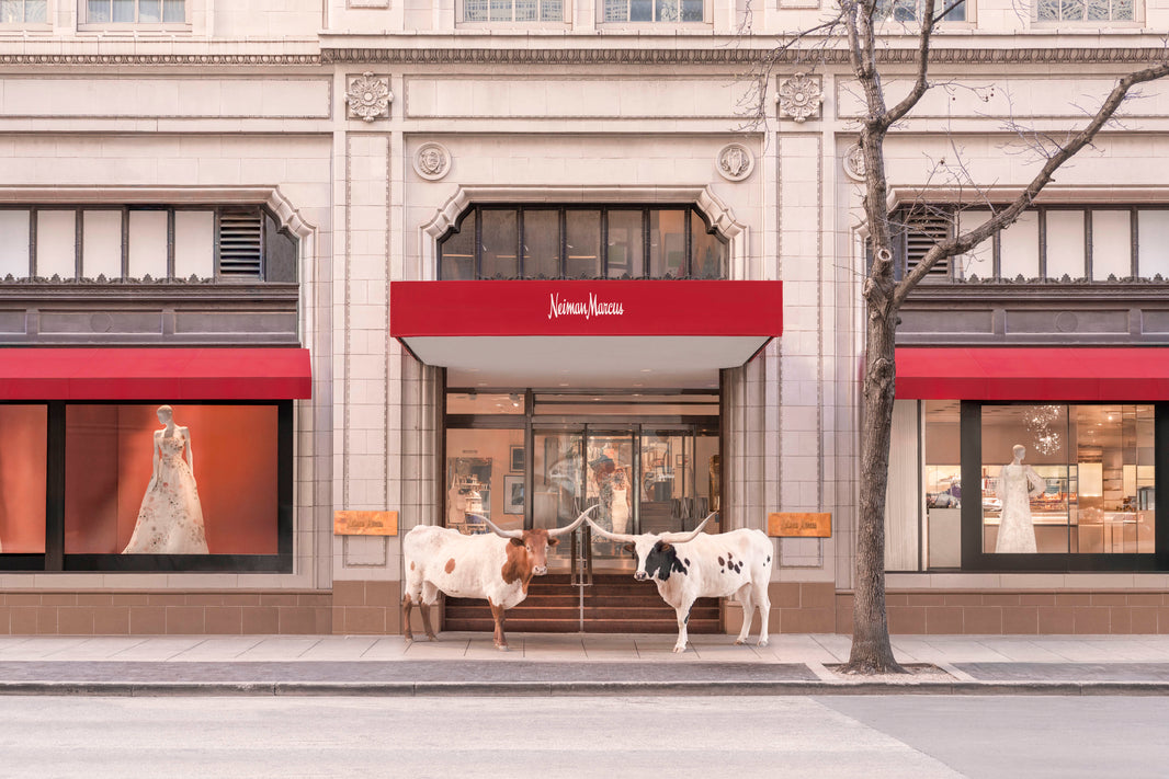 Photography by Gray Malin of The Longhorns, Neiman Marcus, Downtown Dallas