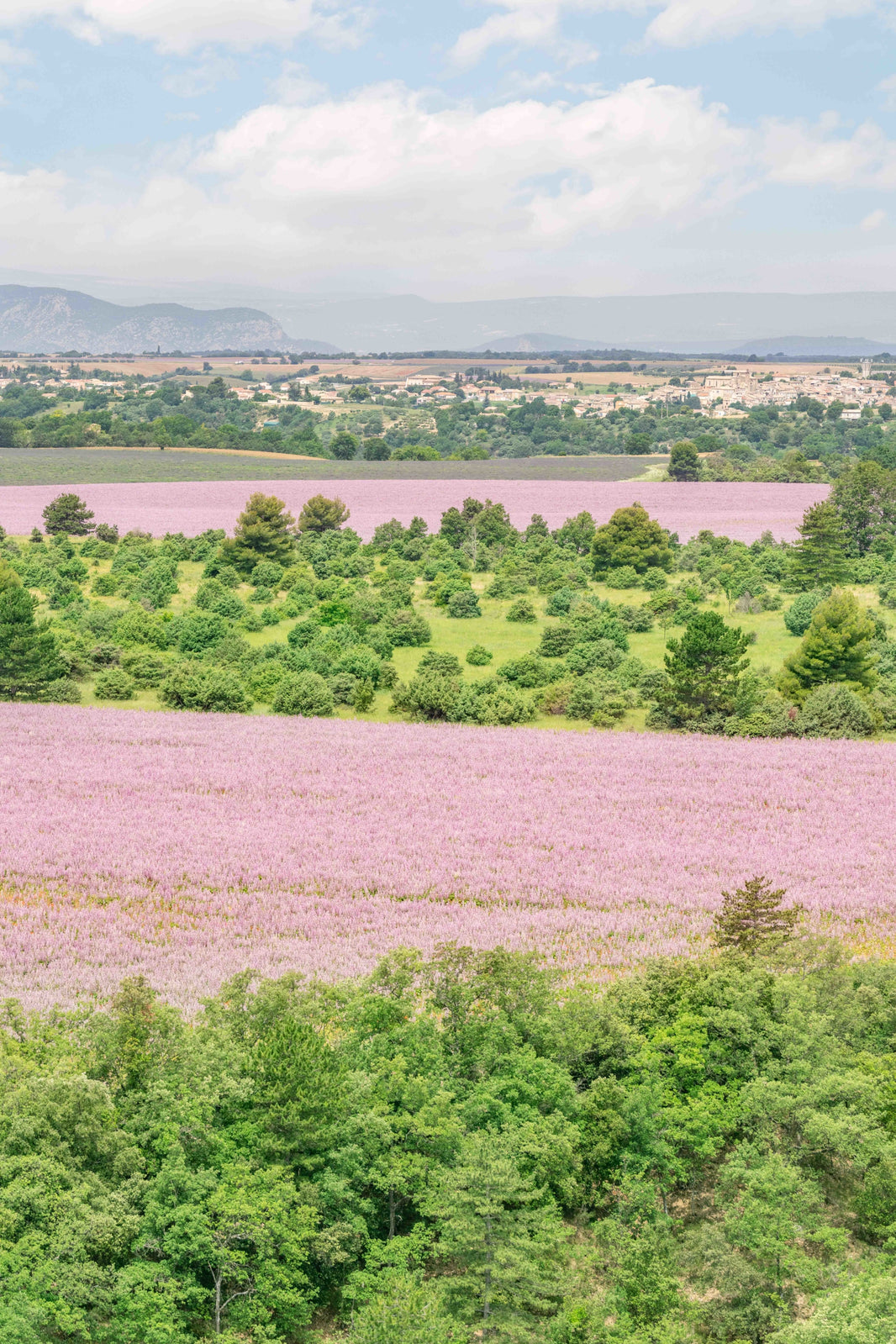 Photography by Gray Malin of The Luberon, Provence
