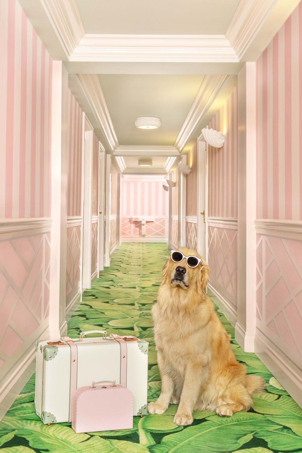 Photography by Gray Malin of The Pink Hallway, The Colony Hotel