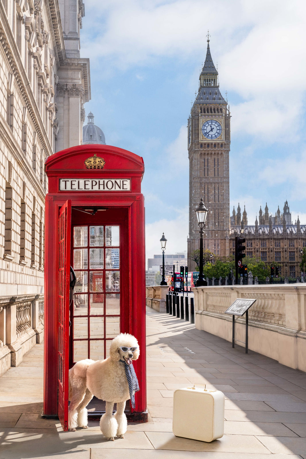Photography by Gray Malin of The Poodle, London