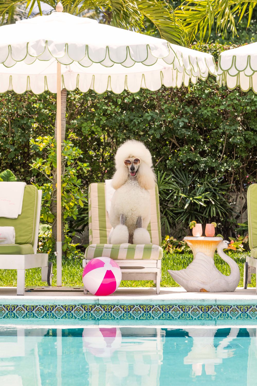 Photography by Gray Malin of The Poodle, The Colony Hotel