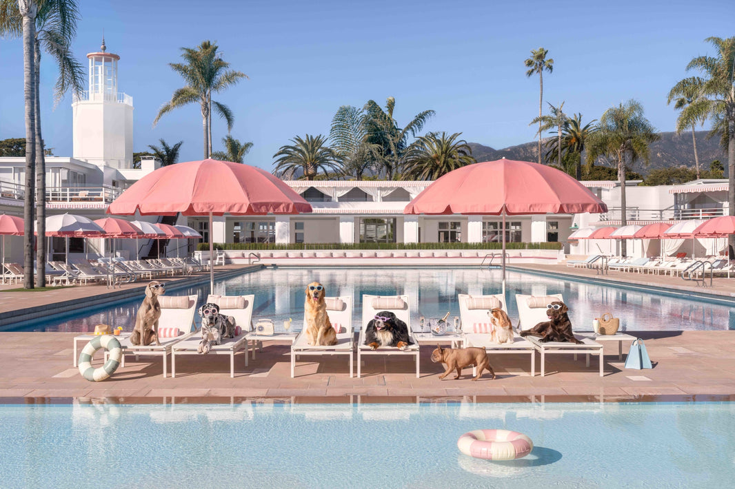 Photography by Gray Malin of The Sunbathers, Coral Casino