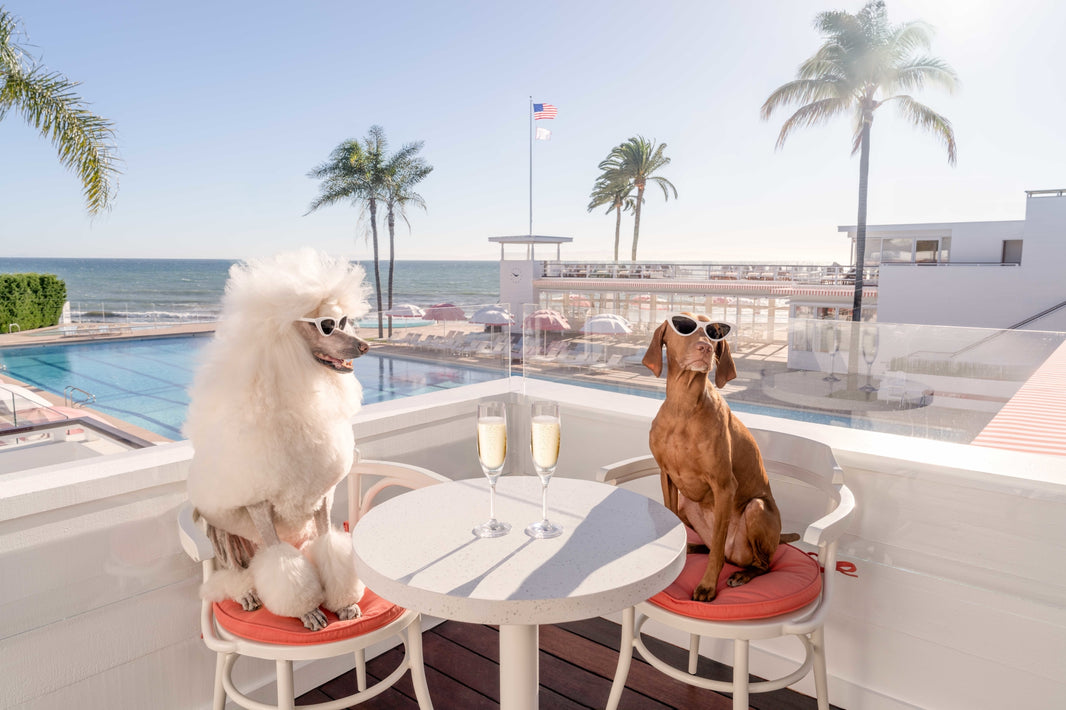 Photography by Gray Malin of The Ty Warner Cabana, Coral Casino